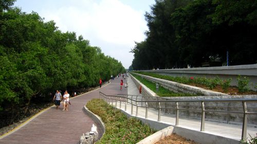 西湾红树林停车场能过夜吗?(深圳红树林停车怎么么收费标准)-图2 西湾红树林停车场能过夜吗?(深圳红树林停车怎么么收费标准)-图2