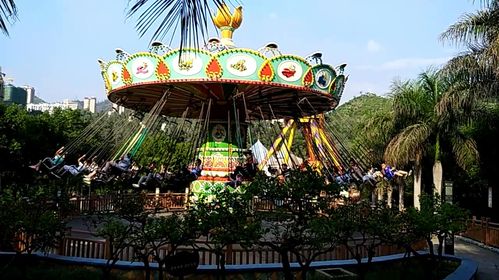 攀枝花仁和区旅游景点?(鑫岛游乐场攀枝花收费)-图3 攀枝花仁和区旅游景点?(鑫岛游乐场攀枝花收费)-图3
