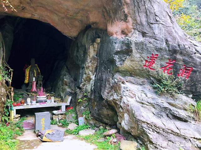 九江有什麽地方適合年輕人玩的啊?(莲花洞森林公园收费)-图3 九江有什麽地方適合年輕人玩的啊?(莲花洞森林公园收费)-图3