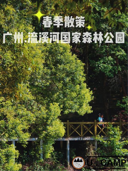 从都森林公园要收门票吗?(广东溪流河森林公园收费标准)-图1 从都森林公园要收门票吗?(广东溪流河森林公园收费标准)-图1