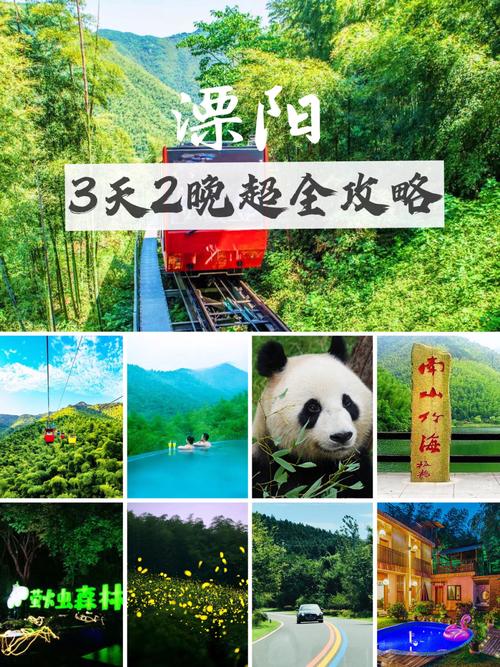 南山竹海年卡办理条件?(蜀南竹海收费)-图3 南山竹海年卡办理条件?(蜀南竹海收费)-图3