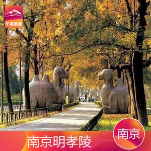 明孝陵几号门停车方便?(南京明孝陵景点收费吗)-图2 明孝陵几号门停车方便?(南京明孝陵景点收费吗)-图2