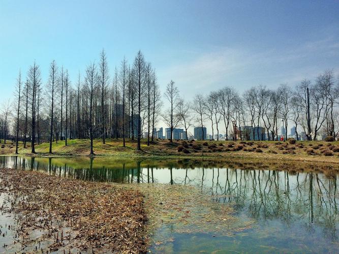上海世博后滩湿地公园的特色景观?(世博后滩湿地公园收费的吗)-图3 上海世博后滩湿地公园的特色景观?(世博后滩湿地公园收费的吗)-图3