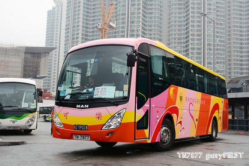 香港b6公交怎么买票?(香港的公交怎么收费)-图2 香港b6公交怎么买票?(香港的公交怎么收费)-图2