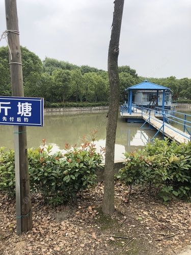 上海浦东禁钓鱼区域有哪些?(上海垂钓中心收费标准)-图2 上海浦东禁钓鱼区域有哪些?(上海垂钓中心收费标准)-图2