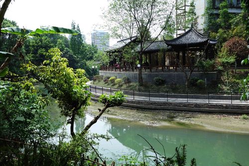 成都不收费公园?(浣花溪公园收费么)-图2 成都不收费公园?(浣花溪公园收费么)-图2