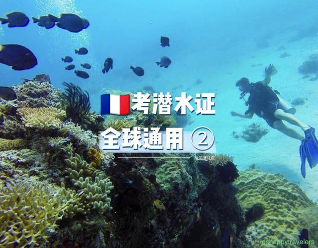 深圳潜水证哪里考最便宜？(深圳潜水收费)