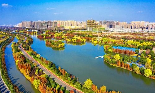 阜阳有什么旅游景点?(阜阳五里湖湿地公园收费吗)-图3 阜阳有什么旅游景点?(阜阳五里湖湿地公园收费吗)-图3