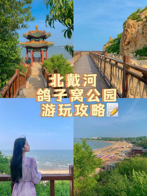 北戴河鸽子窝9月份要门票么?(秦皇岛鸽子窝公园收费吗)-图3 北戴河鸽子窝9月份要门票么?(秦皇岛鸽子窝公园收费吗)-图3