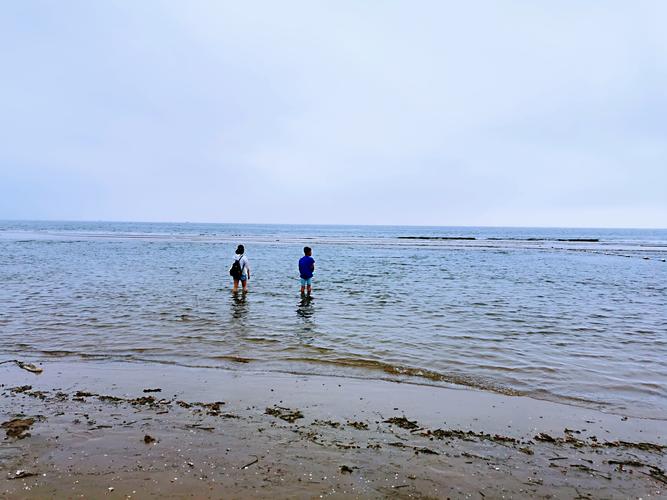 北戴河海天一色海滩要门票吗?(北戴河湿地公园收费吗)-图2 北戴河海天一色海滩要门票吗?(北戴河湿地公园收费吗)-图2