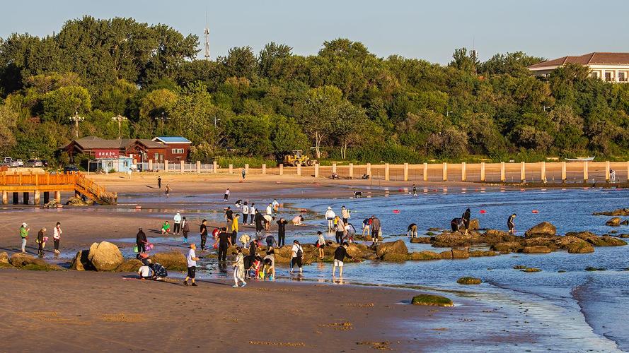 北戴河海天一色海滩要门票吗?(北戴河湿地公园收费吗)-图3 北戴河海天一色海滩要门票吗?(北戴河湿地公园收费吗)-图3