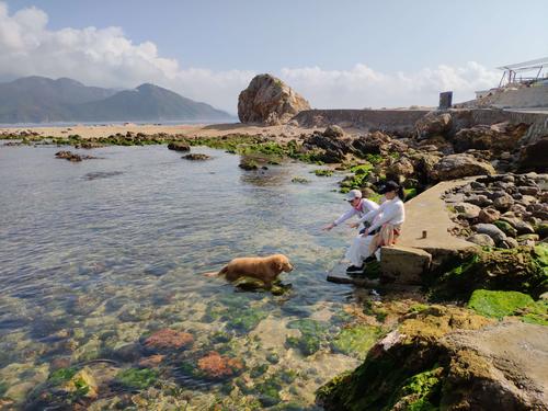 深圳适合情侣去的地方?(西冲情人岛停车收费)-图3 深圳适合情侣去的地方?(西冲情人岛停车收费)-图3