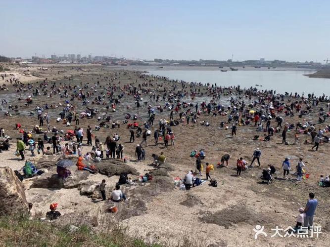 红岛赶海的地方？(红岛休闲渔村收费吗)