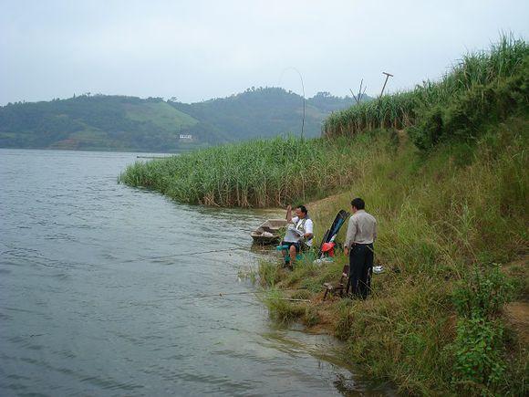 长沙梅溪湖旁边梅溪河能钓鱼吗？(长沙市收费钓鱼场)