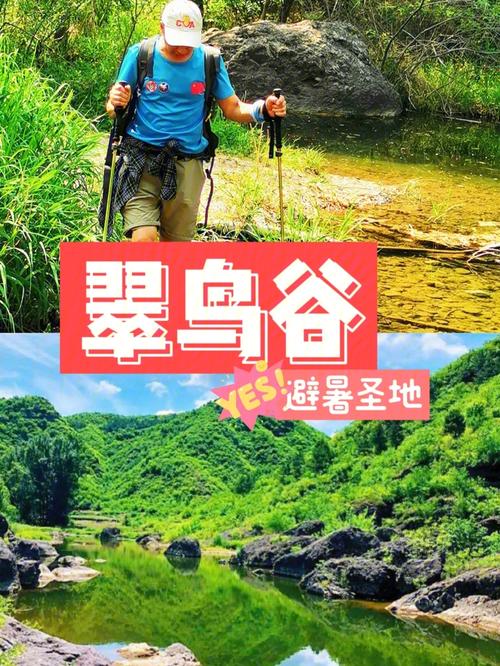 北京延庆翠鸟谷门票?(翠鸟谷收费吗)-图2 北京延庆翠鸟谷门票?(翠鸟谷收费吗)-图2