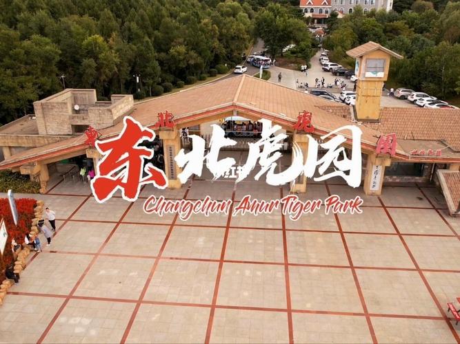 东北虎园有几个?(净月潭虎园收费吗)-图3 东北虎园有几个?(净月潭虎园收费吗)-图3