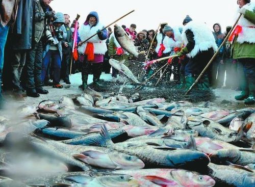 2023年沈阳卧龙湖冬捕时间？(卧龙湖冬捕节收费吗)