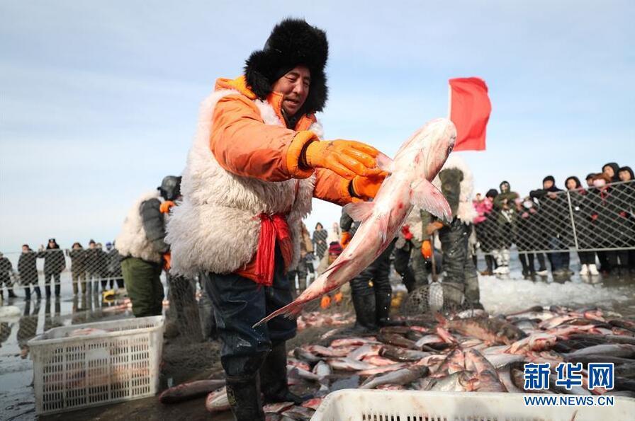 2023年沈阳卧龙湖冬捕时间?(卧龙湖冬捕节收费吗)-图2 2023年沈阳卧龙湖冬捕时间?(卧龙湖冬捕节收费吗)-图2