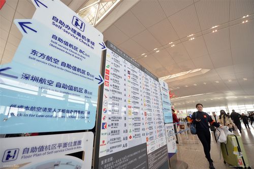禄口机场送机可以送到哪里？(禄口机场行李寄存收费)