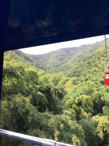 南山竹海停车攻略?(南山竹海停车场要收费吗)-图2 南山竹海停车攻略?(南山竹海停车场要收费吗)-图2