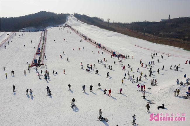 青岛周边滑雪场排名？(藏马山滑雪场收费)