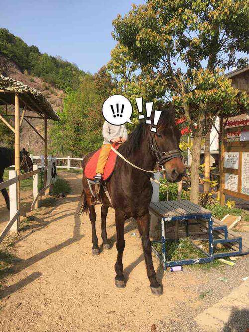 黄岩公园哪个好玩？(黄岩蓝美庄园怎么收费)