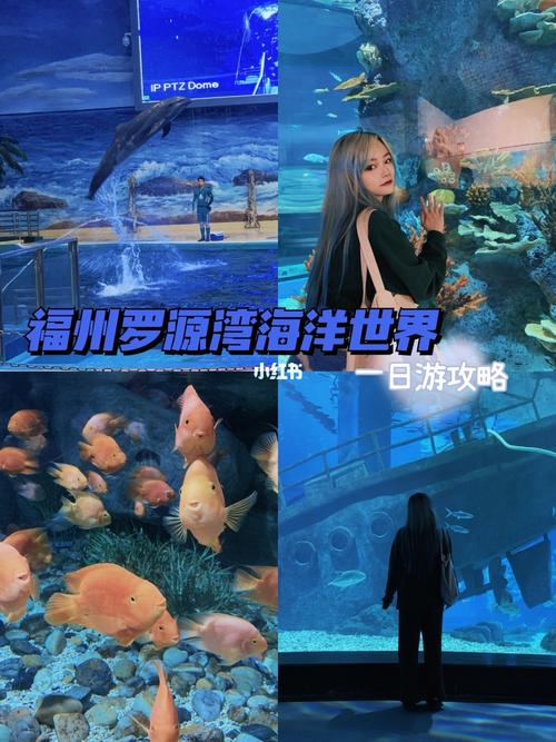 罗源湾海洋世界介绍？(海豚湾帆船收费)