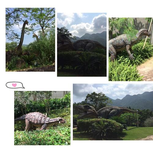 深圳适合1-4岁亲子游的地方？(深圳地质公园收费吗)