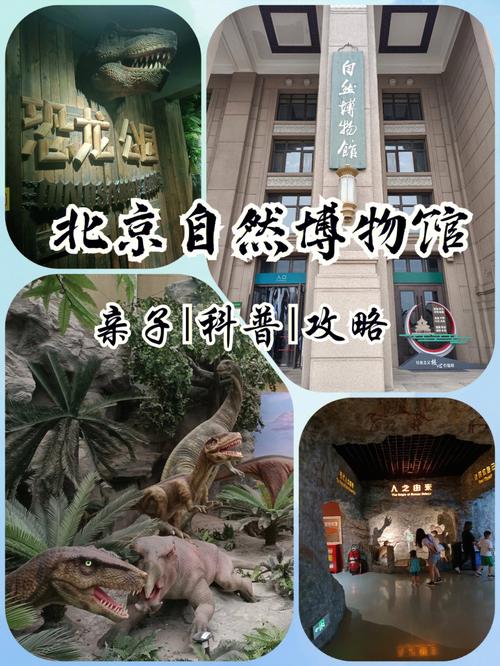北京自然博物馆到北京3d博物馆坐地铁几路？(北京3d博物馆停车收费标准)