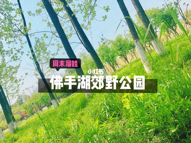 南京浦口遛娃好去处?(南京佛手湖公园收费嘛)-图3 南京浦口遛娃好去处?(南京佛手湖公园收费嘛)-图3