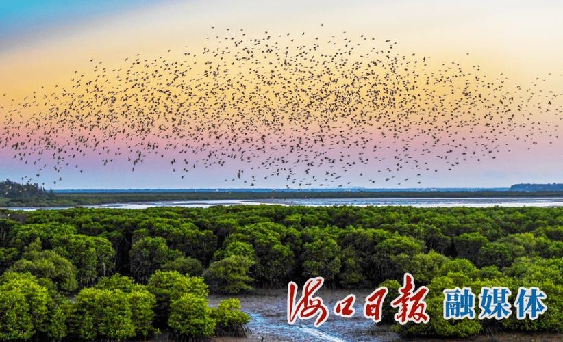 出海南什么时间最好？(海南省海口市候鸟式生活收费)