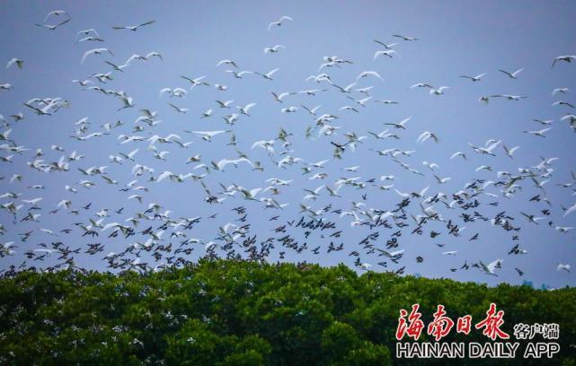出海南什么时间最好?(海南省海口市候鸟式生活收费)-图2 出海南什么时间最好?(海南省海口市候鸟式生活收费)-图2