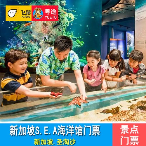 圣淘沙入园需要门票吗?(圣淘沙收费)-图2 圣淘沙入园需要门票吗?(圣淘沙收费)-图2