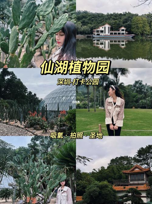 仙湖植物园可以开车进门吗？(仙湖植物园大巴收费)