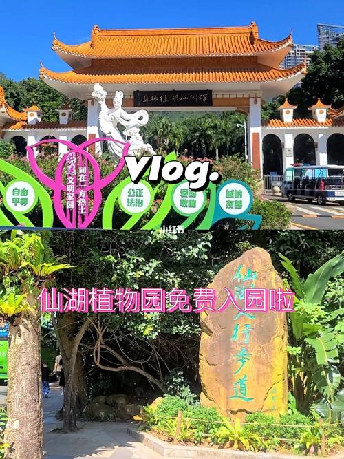 仙湖植物园可以开车进门吗?(仙湖植物园大巴收费)-图2 仙湖植物园可以开车进门吗?(仙湖植物园大巴收费)-图2