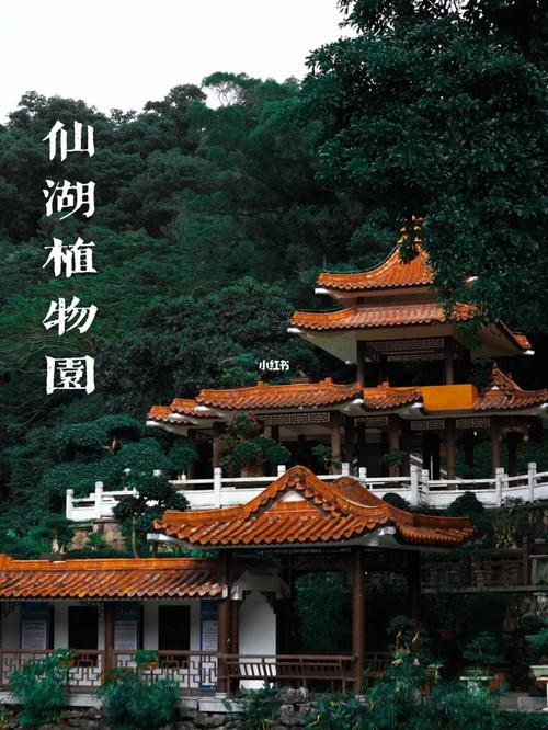 仙湖植物园可以开车进门吗?(仙湖植物园大巴收费)-图3 仙湖植物园可以开车进门吗?(仙湖植物园大巴收费)-图3