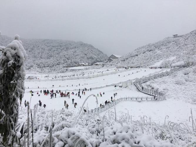 重庆滑雪场哪个性价比最高?(重庆金佛山滑雪场收费标准)-图3 重庆滑雪场哪个性价比最高?(重庆金佛山滑雪场收费标准)-图3