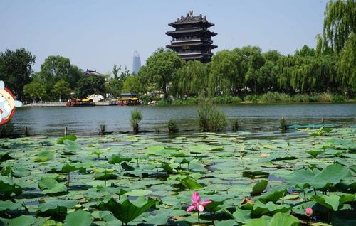 济南大明湖早上几点之前不需要门票?(济南市民去大明湖收费吗)-图2 济南大明湖早上几点之前不需要门票?(济南市民去大明湖收费吗)-图2