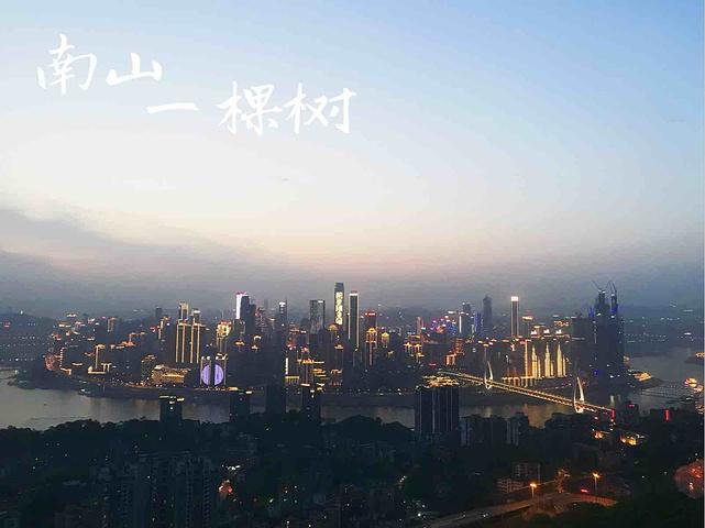 南山一棵树军人免票吗?(南山一棵树收费不)-图3 南山一棵树军人免票吗?(南山一棵树收费不)-图3