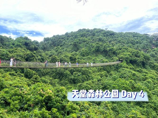 天堂森林公园门票?(天堂森林公园 收费吗)-图3 天堂森林公园门票?(天堂森林公园 收费吗)-图3