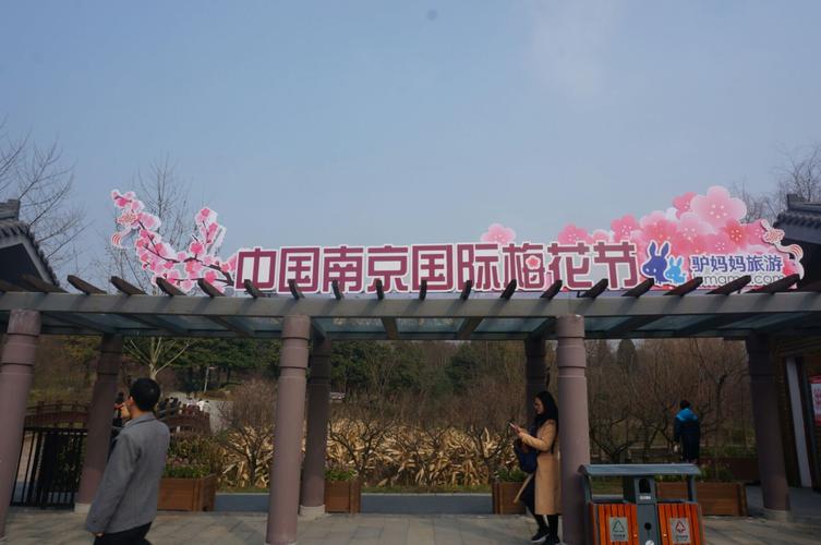 明孝陵早上6:30从哪个门进去免票?(南京梅花谷收费吗)-图3 明孝陵早上6:30从哪个门进去免票?(南京梅花谷收费吗)-图3