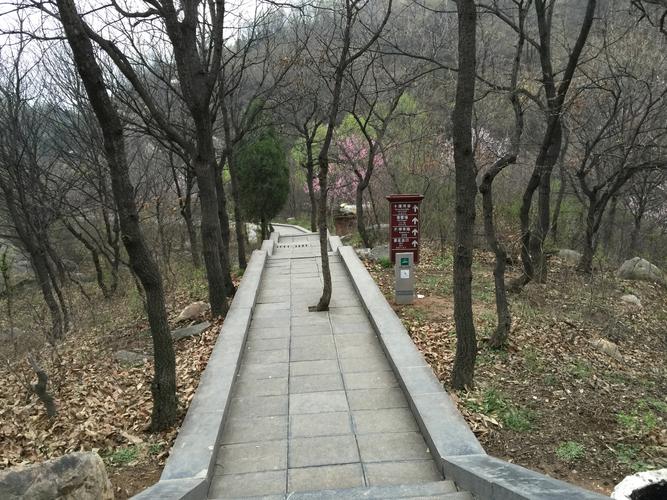 少林寺停车攻略?(嵩山景区停车收费吗)-图3 少林寺停车攻略?(嵩山景区停车收费吗)-图3