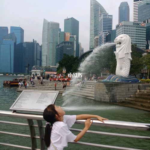 新加坡旅游攻略?(新加坡旅游景点需要收费吗)-图3 新加坡旅游攻略?(新加坡旅游景点需要收费吗)-图3