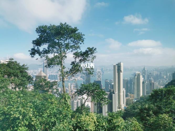 太平山公园要门票吗?(太平山收费吗)-图2 太平山公园要门票吗?(太平山收费吗)-图2
