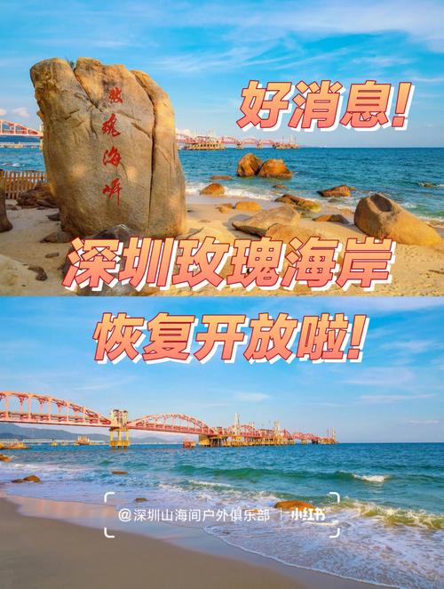 玫瑰海岸要预约吗?(玫瑰海岸停车场收费标准)-图3 玫瑰海岸要预约吗?(玫瑰海岸停车场收费标准)-图3