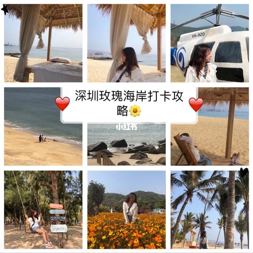 玫瑰海岸要预约吗?(玫瑰海岸停车场收费标准)-图2 玫瑰海岸要预约吗?(玫瑰海岸停车场收费标准)-图2