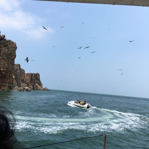 海驴岛最晚几点能上？(山东荣成旅游景点海驴岛收费吗)