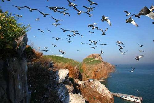 海驴岛最晚几点能上?(山东荣成旅游景点海驴岛收费吗)-图2 海驴岛最晚几点能上?(山东荣成旅游景点海驴岛收费吗)-图2