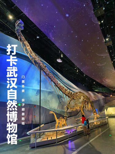 武汉博物馆五一开放吗?(武汉市博物馆收费吗)-图3 武汉博物馆五一开放吗?(武汉市博物馆收费吗)-图3