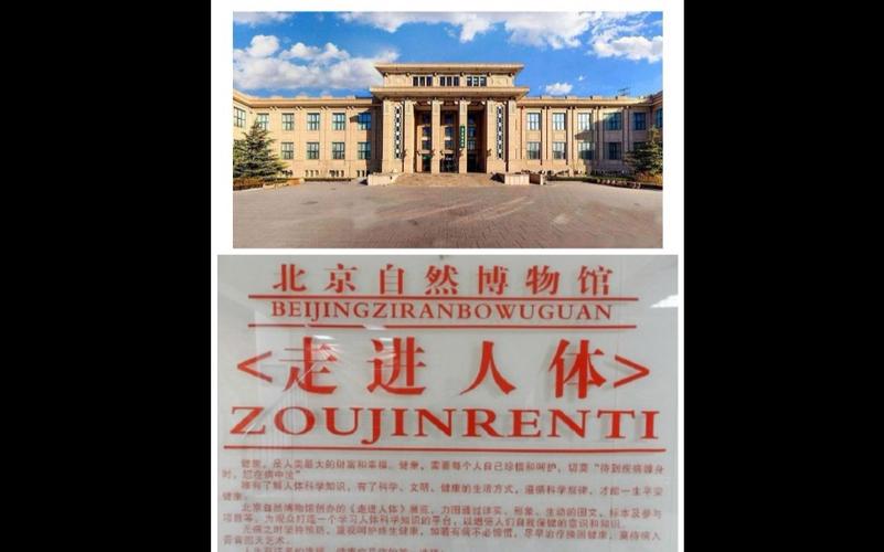 北京自然博物馆的人体馆开放吗?(自然博物馆 收费)-图3 北京自然博物馆的人体馆开放吗?(自然博物馆 收费)-图3